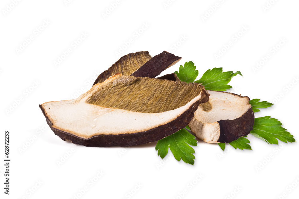 dried porcini mushrooms dried porcini mushrooms