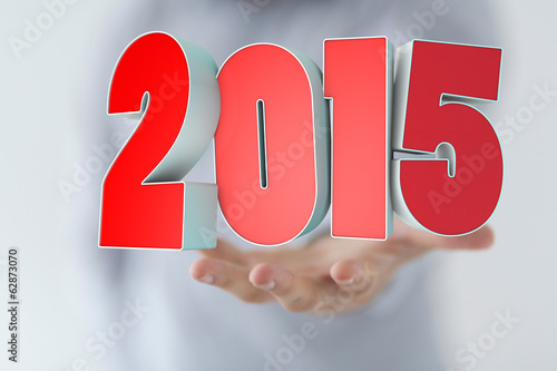 2015 year