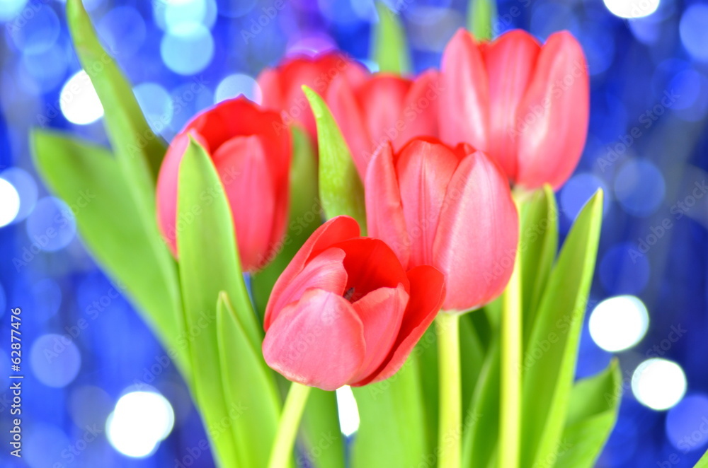 Obraz premium piękne czerwone tulipany na tle bokeh