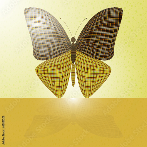 butterfly on the wall and its reflection on a horizontal surface