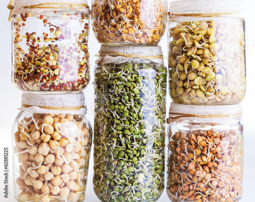 Stack of Different Sprouting Seeds Growing in a Glass Jar photo