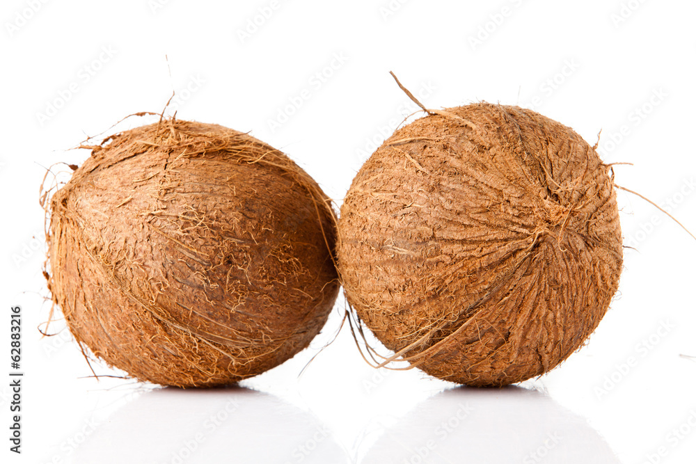 Coconut isolated on white Coconut isolated on white