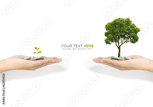 investment concept