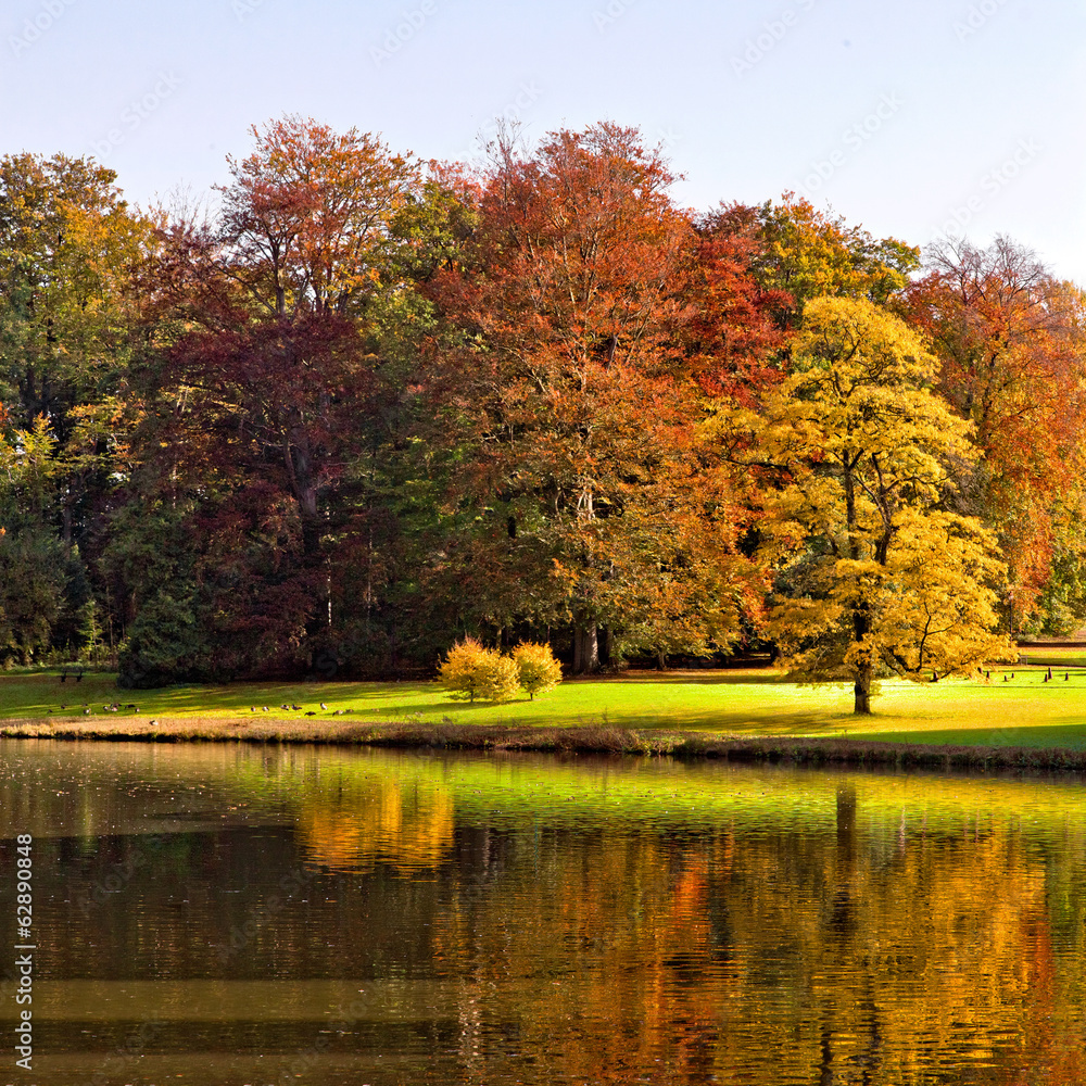 Park in Autumn. The bright colors of autumn in the park by the l
