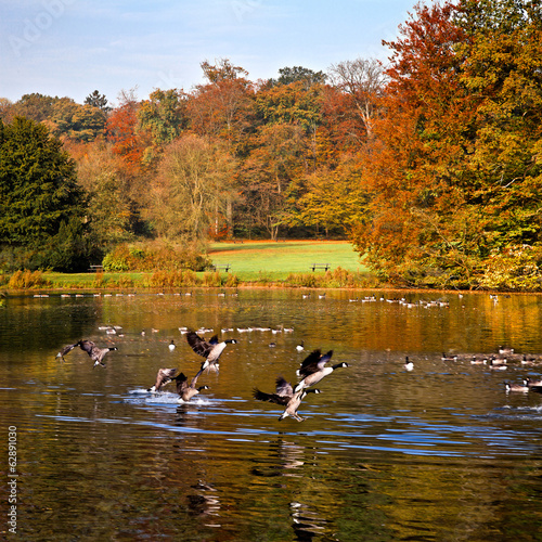 The bright colors of autumn in the park by the lake.