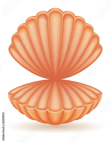 shell sea vector illustration