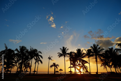 Palm tree silhouettes on sunset beach