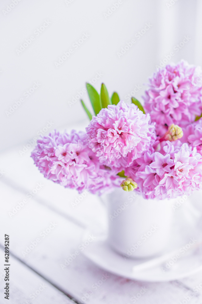 Obraz premium Pink hyacinths in white vase on white background