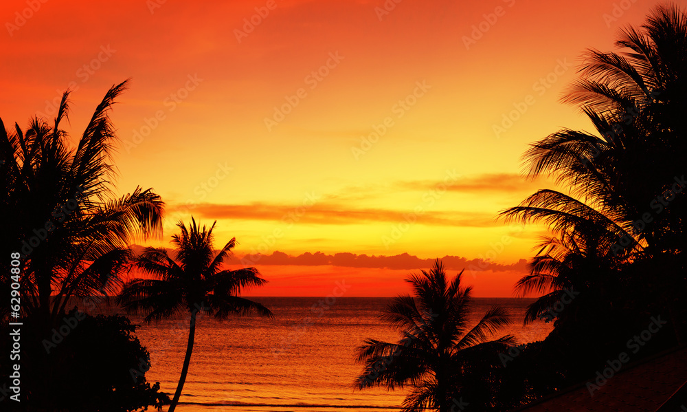 Tropical sunset in red colors