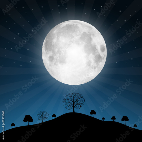 Vector Full Moon Illustration with Stars and Trees