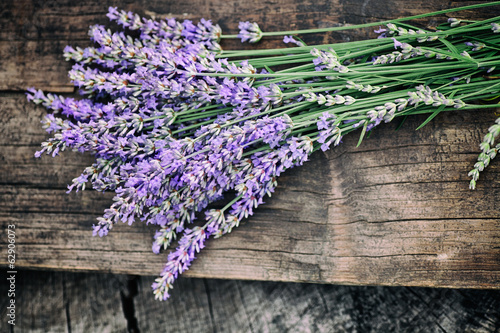 Fresh lavender