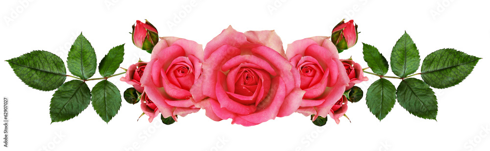 Rose flowers arrangement - obrazy, fototapety, plakaty 