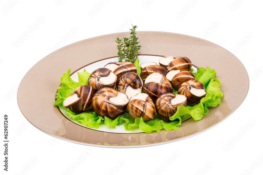 Escargot Escargot