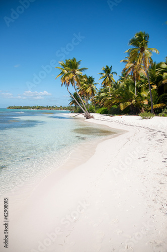 Beautiful white beach with tropical palm trees, Saona, Caribbean