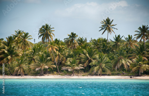 Wonderful palm coastline of Saona Island, Caribbean © XtravaganT