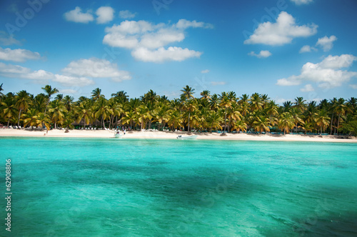 Wonderful palm coastline of Saona Island  Caribbean