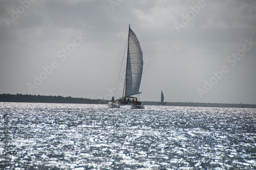Catamaran Sailing Boat near Saona, Carribean Sea