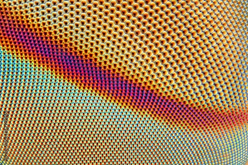 Extreme sharp and detailed photo of the eye of a horse fly