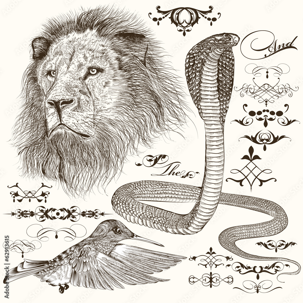 Naklejka premium Set of hand drawn detailed animals and flourishes in vintage sty