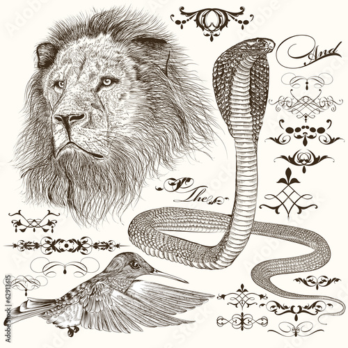 Fototapeta Naklejka Na Ścianę i Meble -  Set of hand drawn detailed animals and flourishes in vintage sty