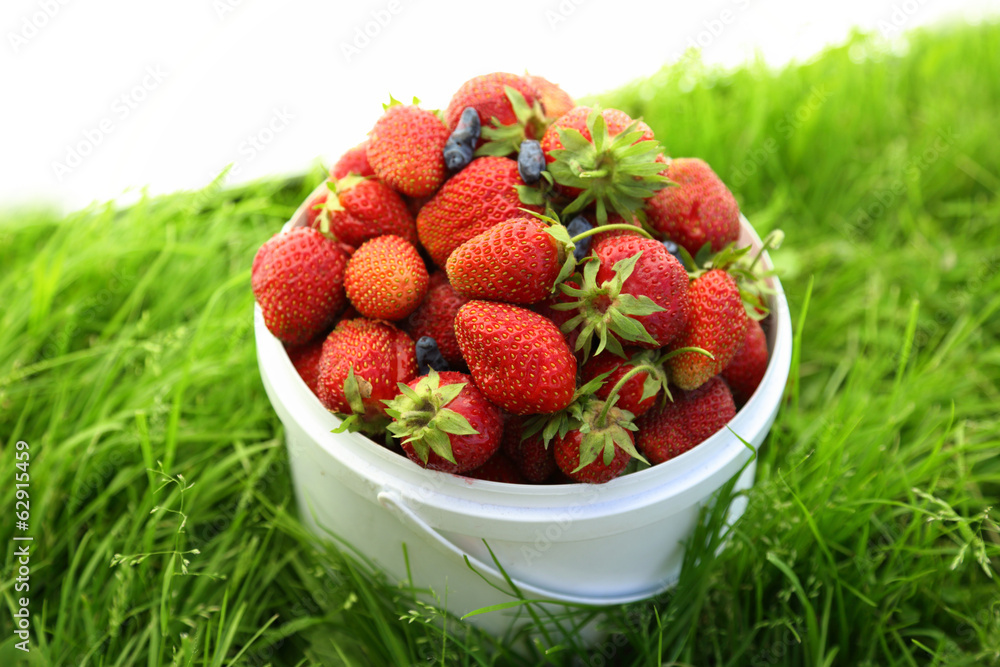 Ripe strawberry in basket Ripe strawberry in basket