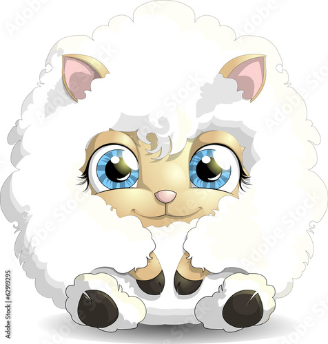 sheep