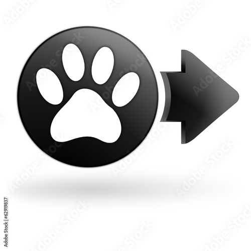 empreinte de chien sur bouton noir