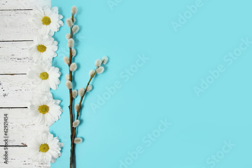spring flowers and pussy willow twigs on wood background © Alina G