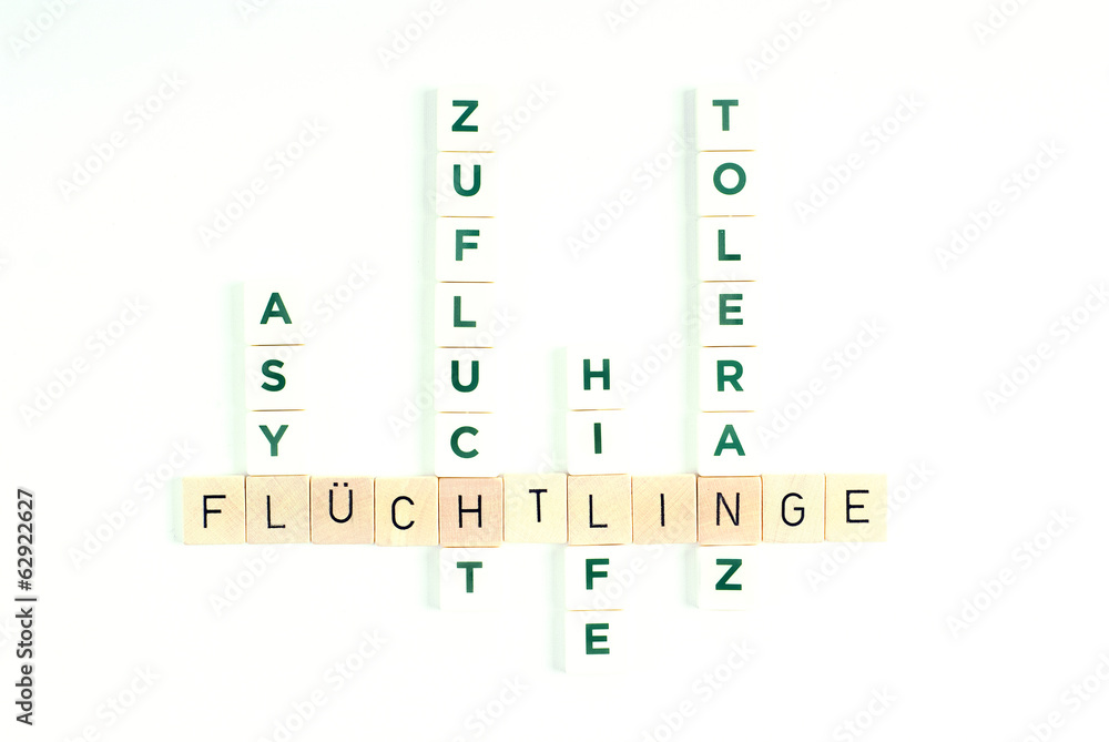 Begriffe der Flüchtlingspolitik in Deutschland Begriffe der Flüchtlingspolitik in Deutschland