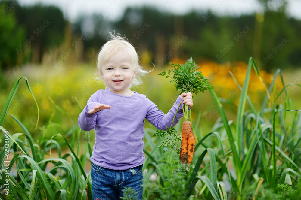 Adorable little girl picking carrots Adorable little girl picking carrots