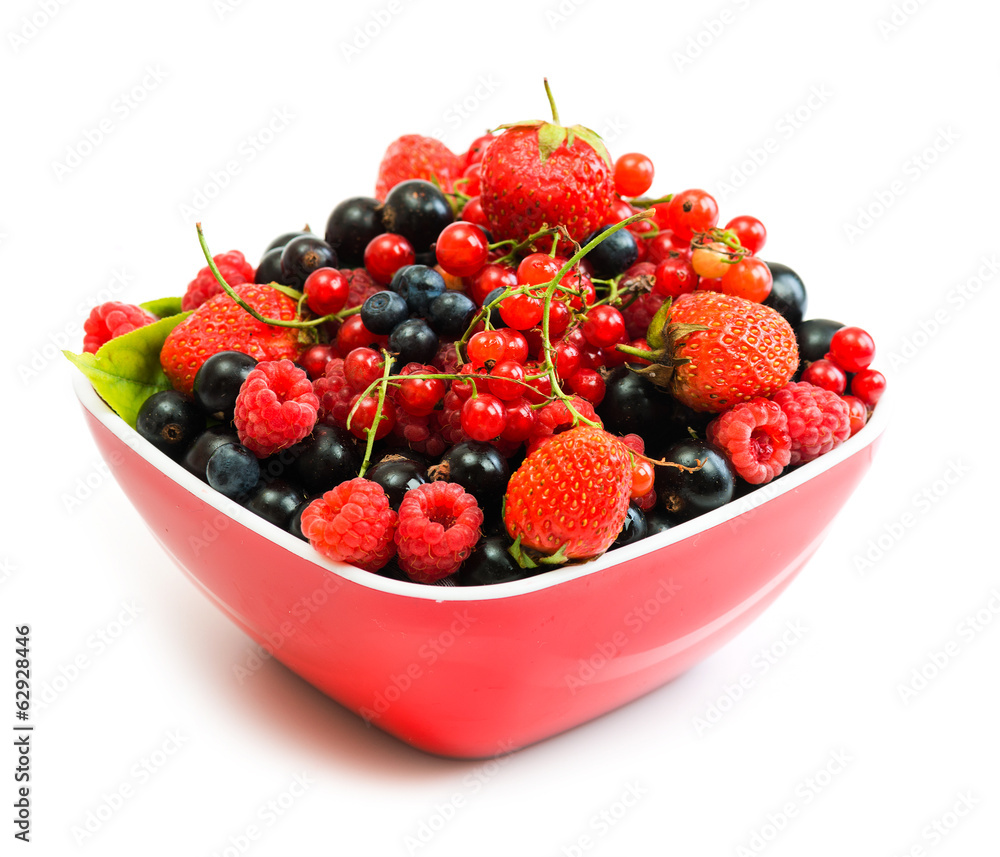 Blueberry, strawberry, raspberry, black and red currant Blueberry, strawberry, raspberry, black and red currant