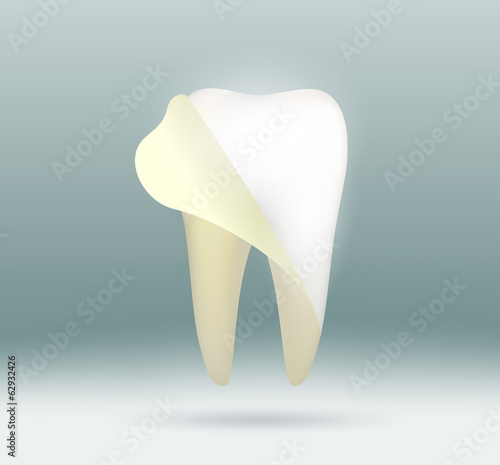 white human tooth