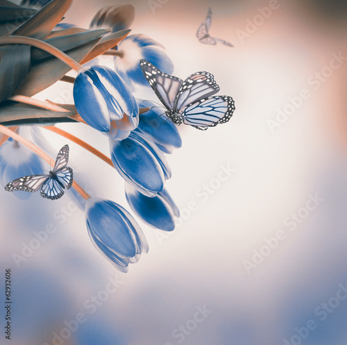 Fototapeta Naklejka Na Ścianę i Meble -  Red tulips with green grass  and  butterfly.