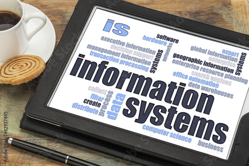 information systems word cloud