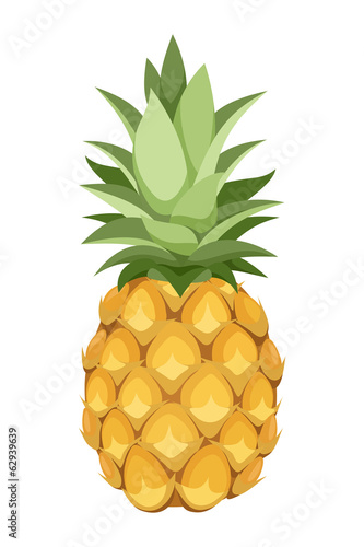 Pineapple. Vector illustration.