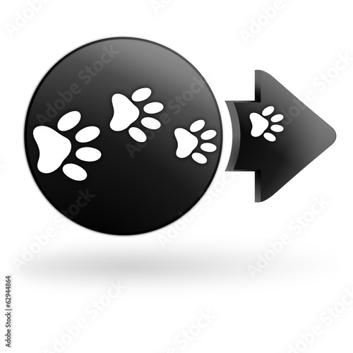 pattes de chien sur bouton noir