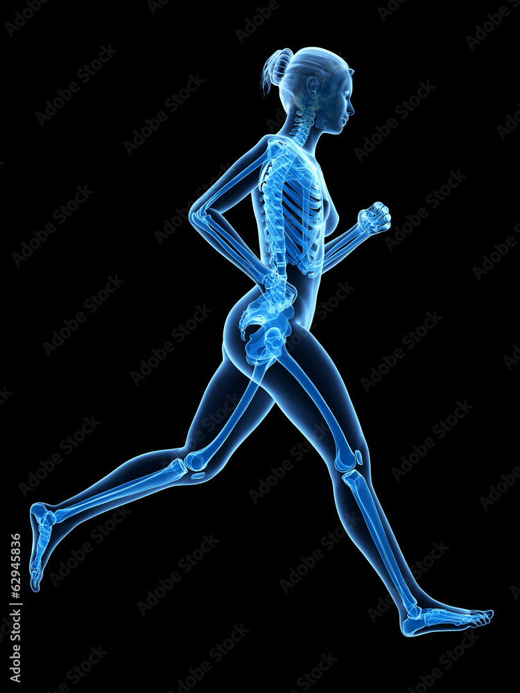 woman running - visible anatomy of the skeleton