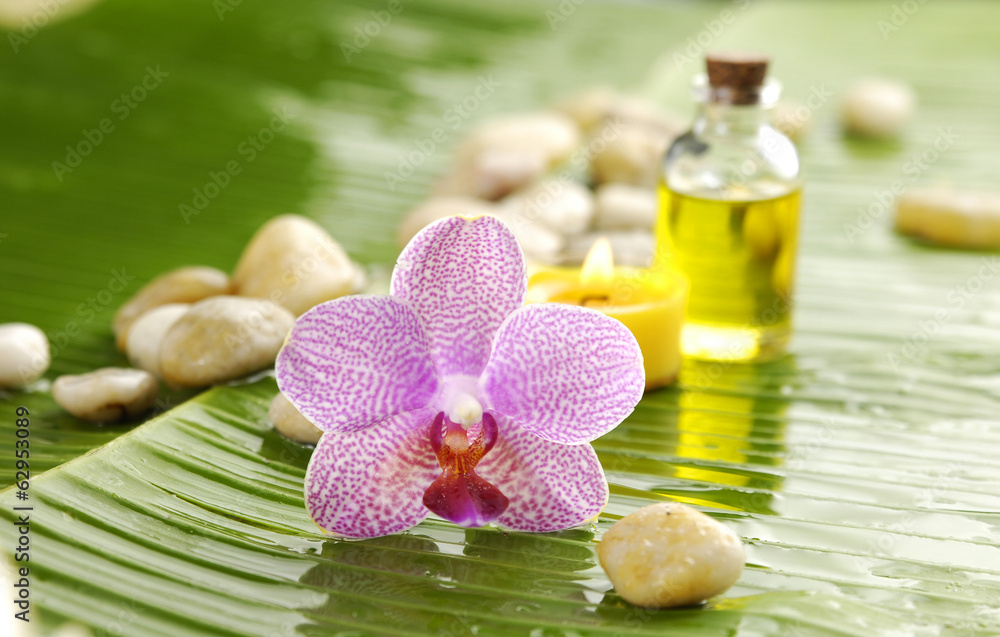 orchid and stones with massage oil on wet banana leaf orchid and stones with massage oil on wet banana leaf