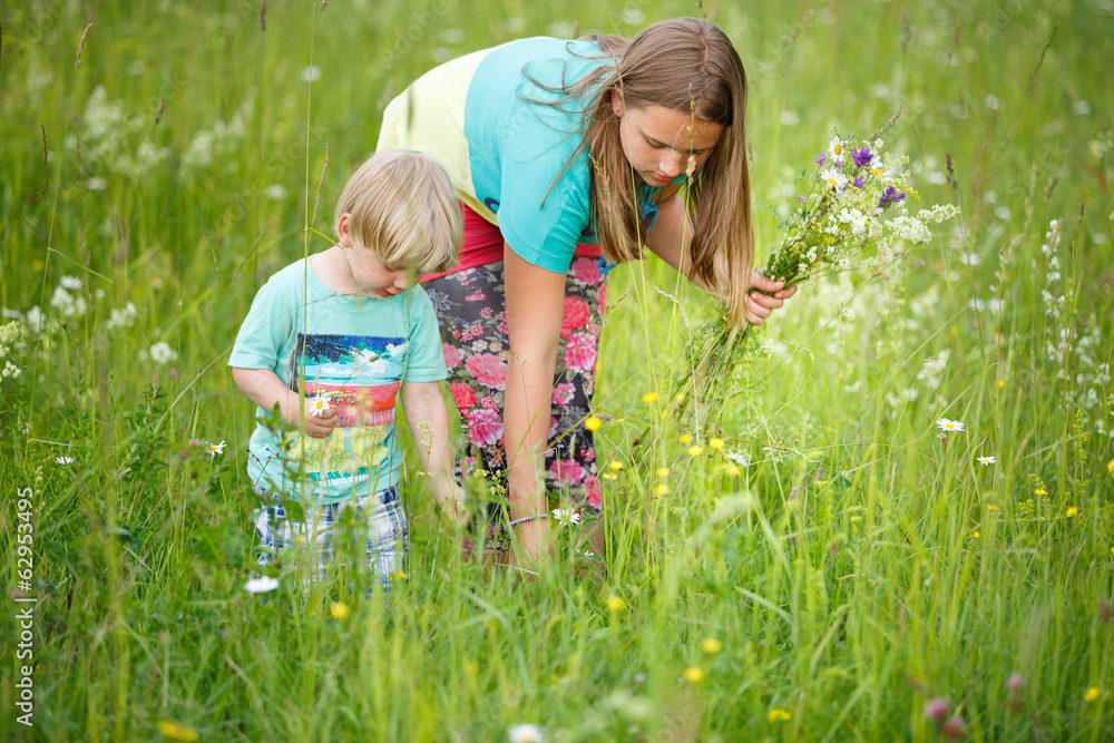 Sister with brother picking flowers