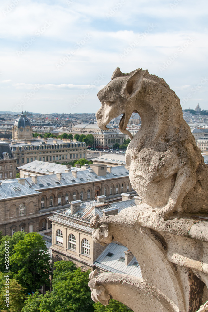 Fototapeta premium A dragon-Like Gargoyle on Notre Dame Cathedral