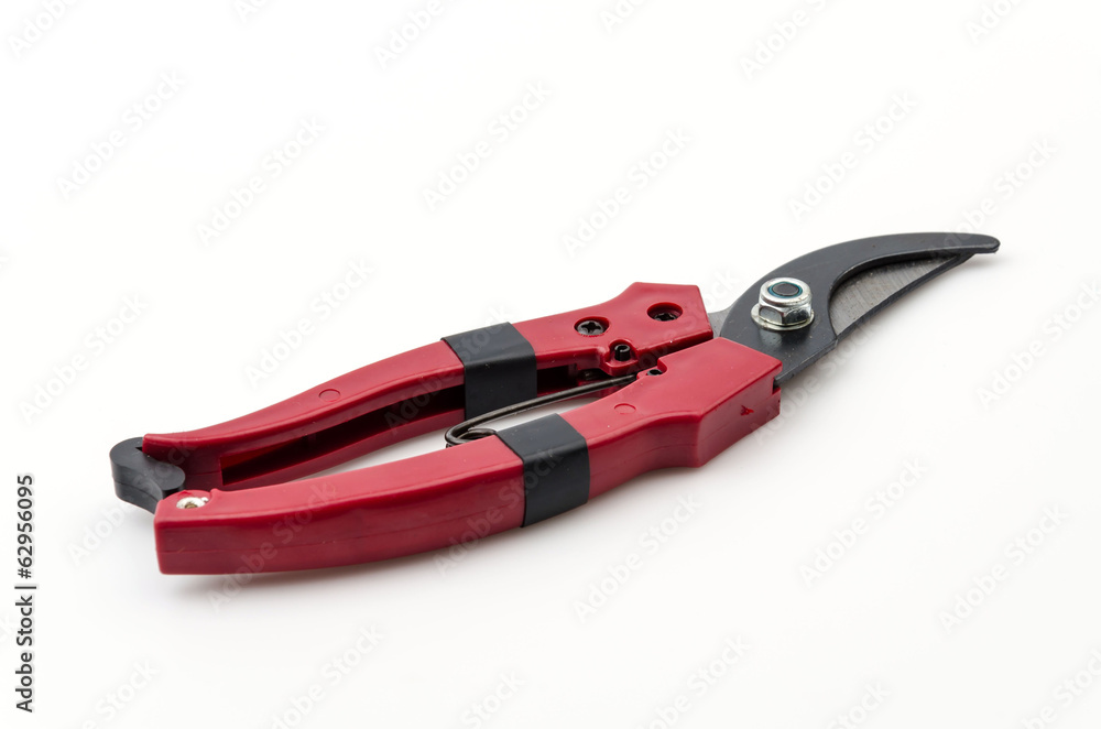Isolated garden shears Isolated garden shears