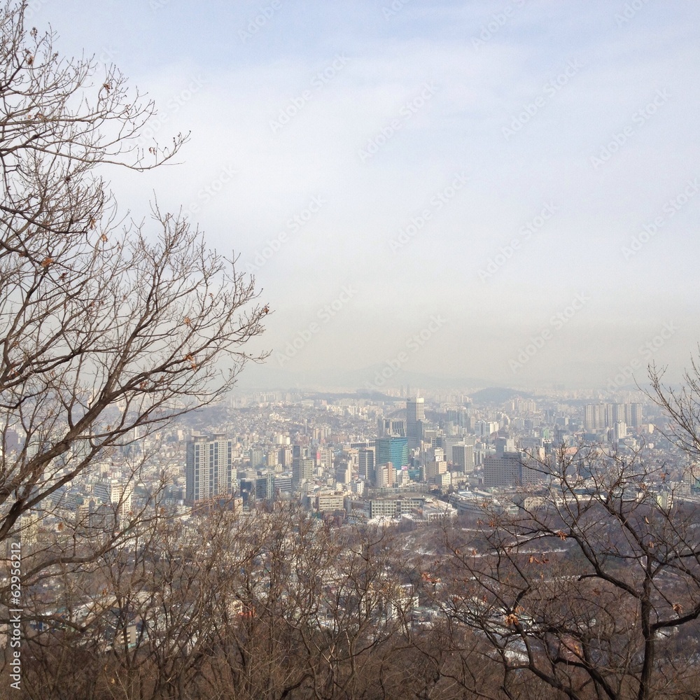 Samolepka Cotyscape of Seoul city theough tree branches, South Korea