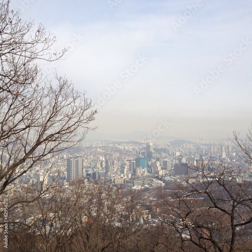 Cotyscape of Seoul city theough tree branches, South Korea photo