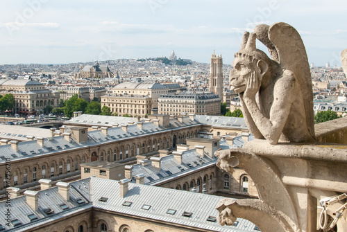Bored Gargoyle of Notre Dame © starryvoyage
