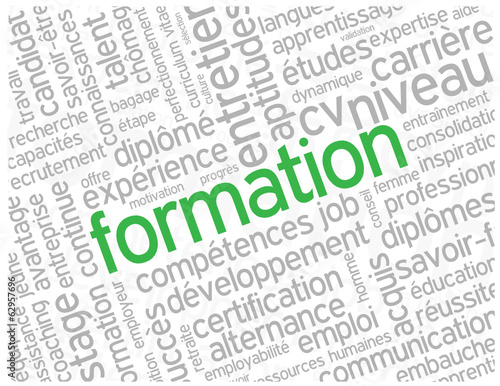 Nuage de Tags "FORMATION" (études emploi réussite diplômes cv)