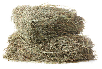 Hay, isolated on white