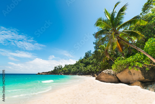 Fototapeta Naklejka Na Ścianę i Meble -  tropical beach with palm