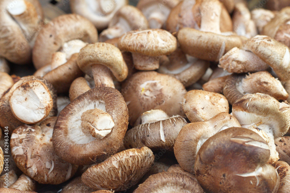 Fresh shiitake mushroom on background Fresh shiitake mushroom on background
