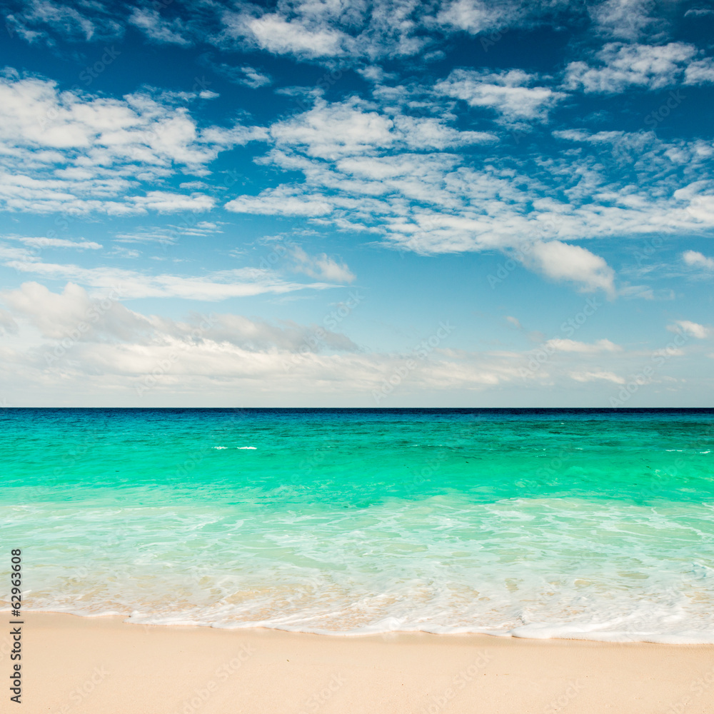 Fototapeta premium tropical beach