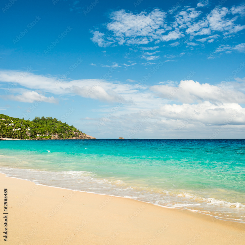 tropical beach